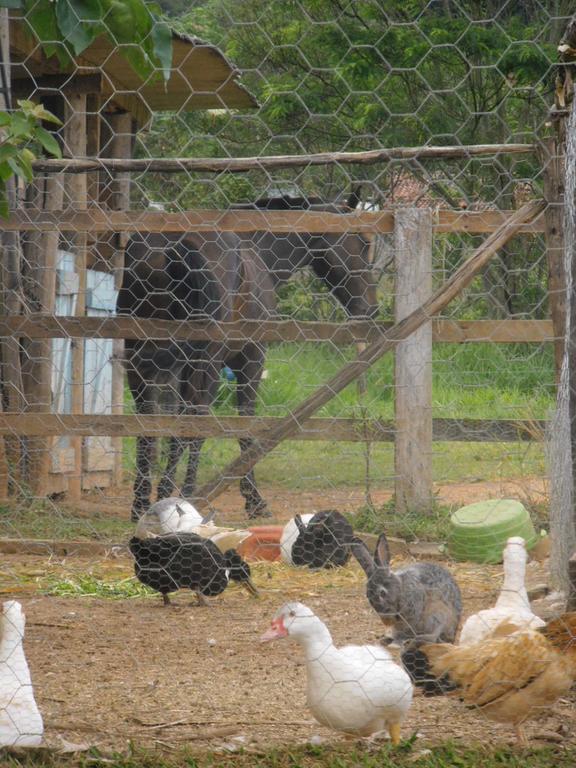 Fazenda Paisagem Chalés Serra Negra  Kültér fotó